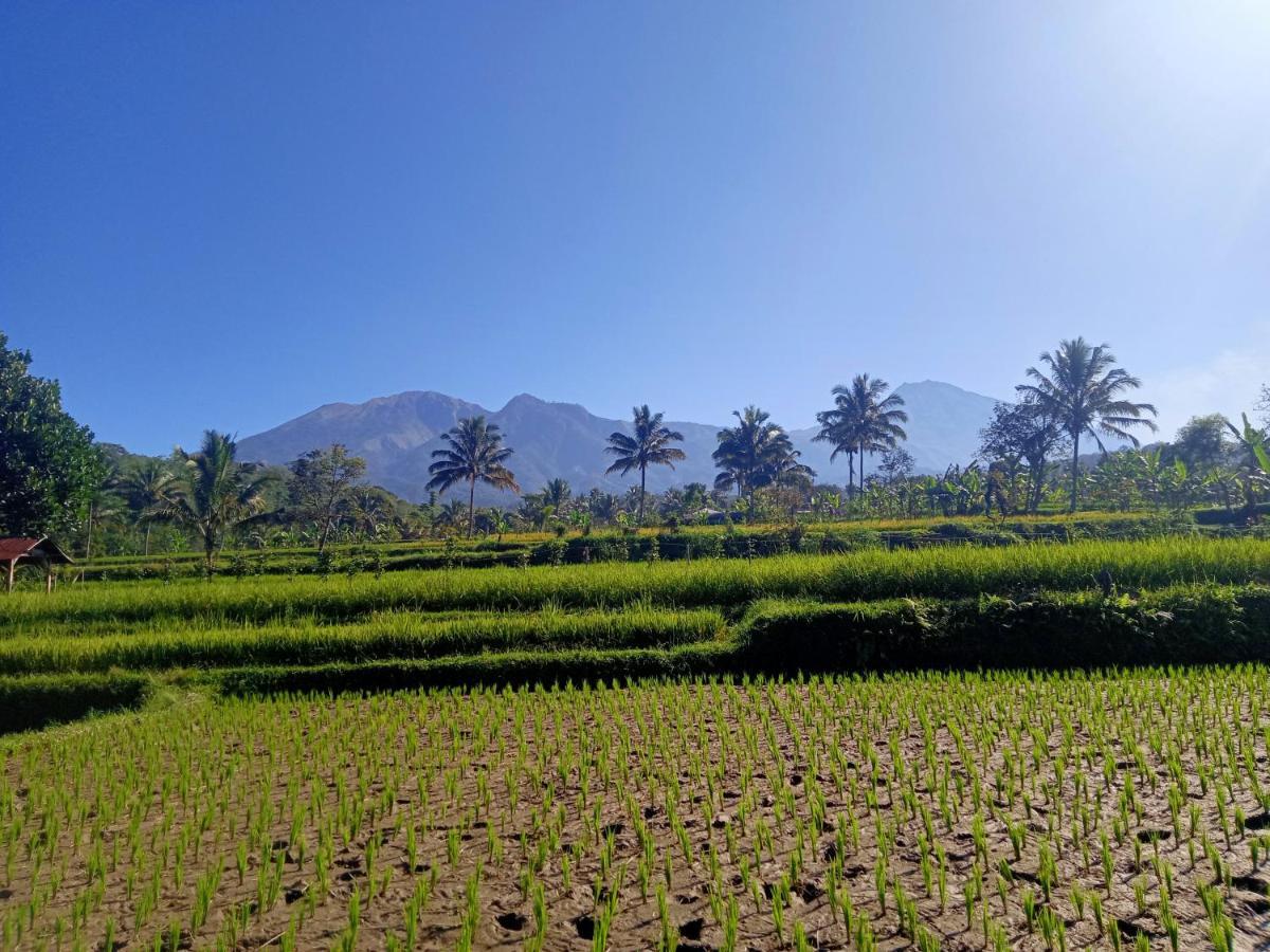 Tetebatu Sunrise Homestay Exteriör bild
