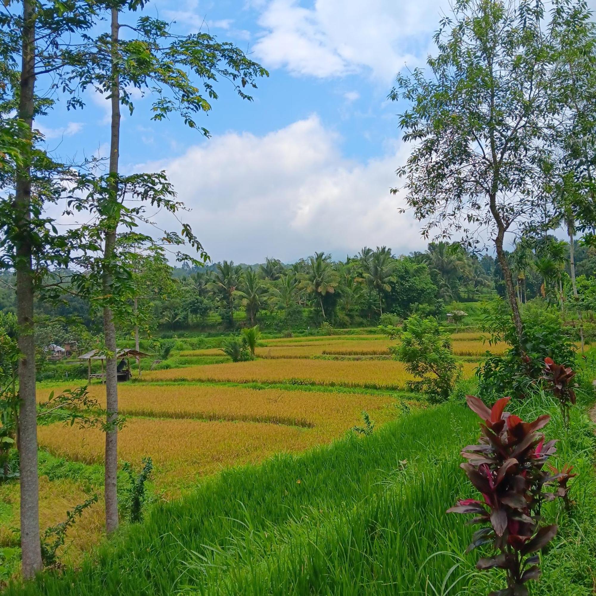 Tetebatu Sunrise Homestay Exteriör bild