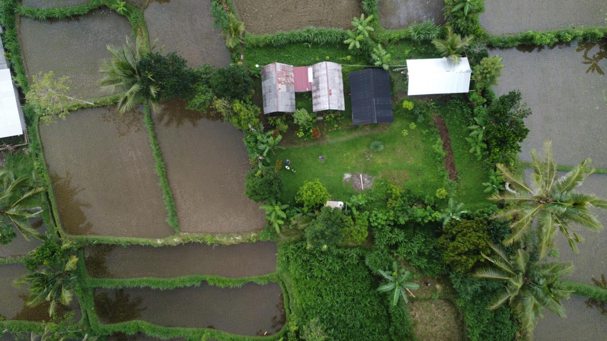Tetebatu Sunrise Homestay Exteriör bild