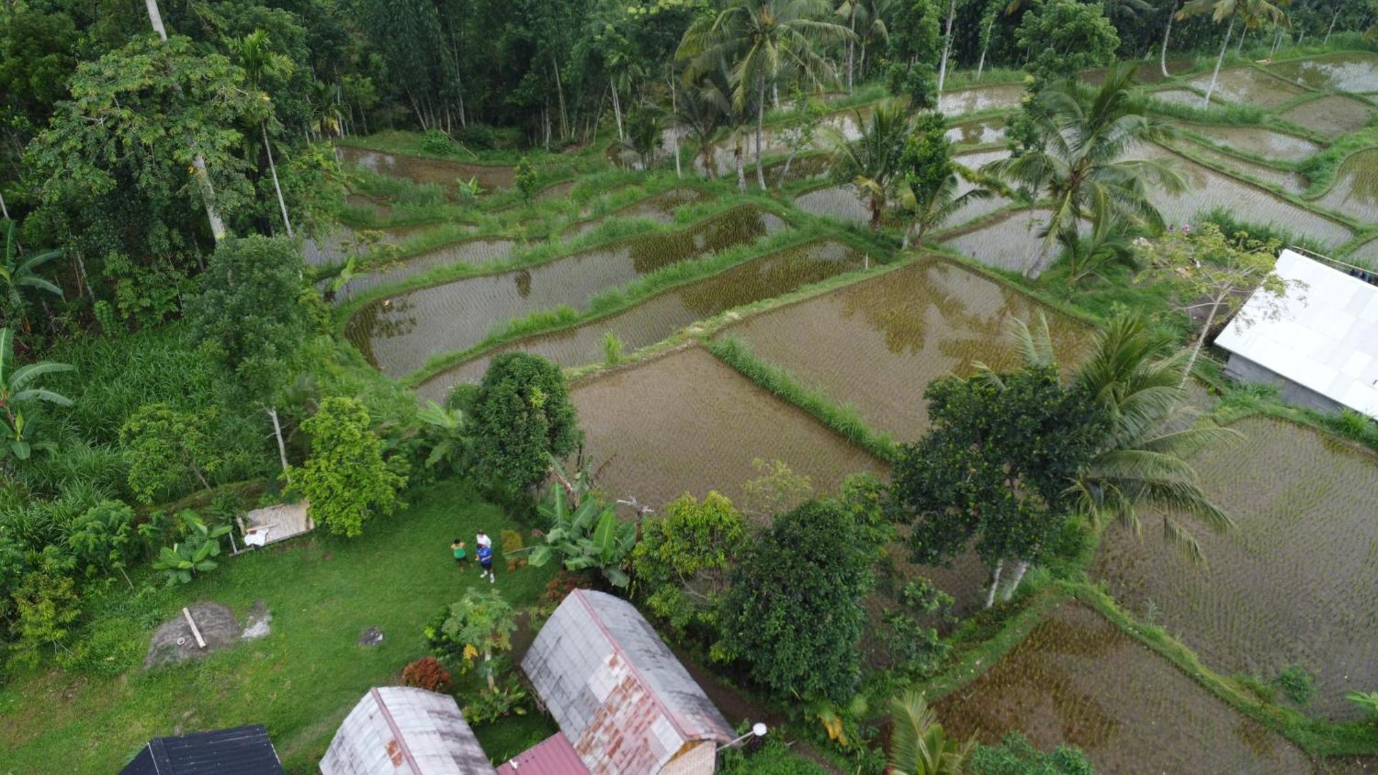 Tetebatu Sunrise Homestay Exteriör bild