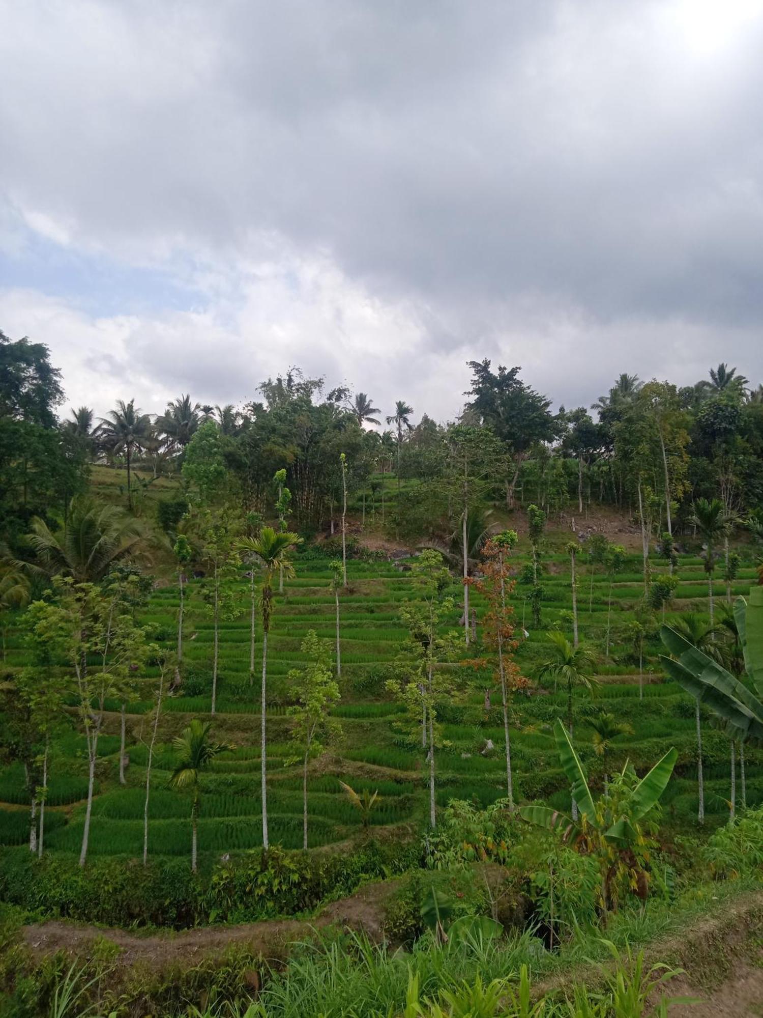 Tetebatu Sunrise Homestay Exteriör bild