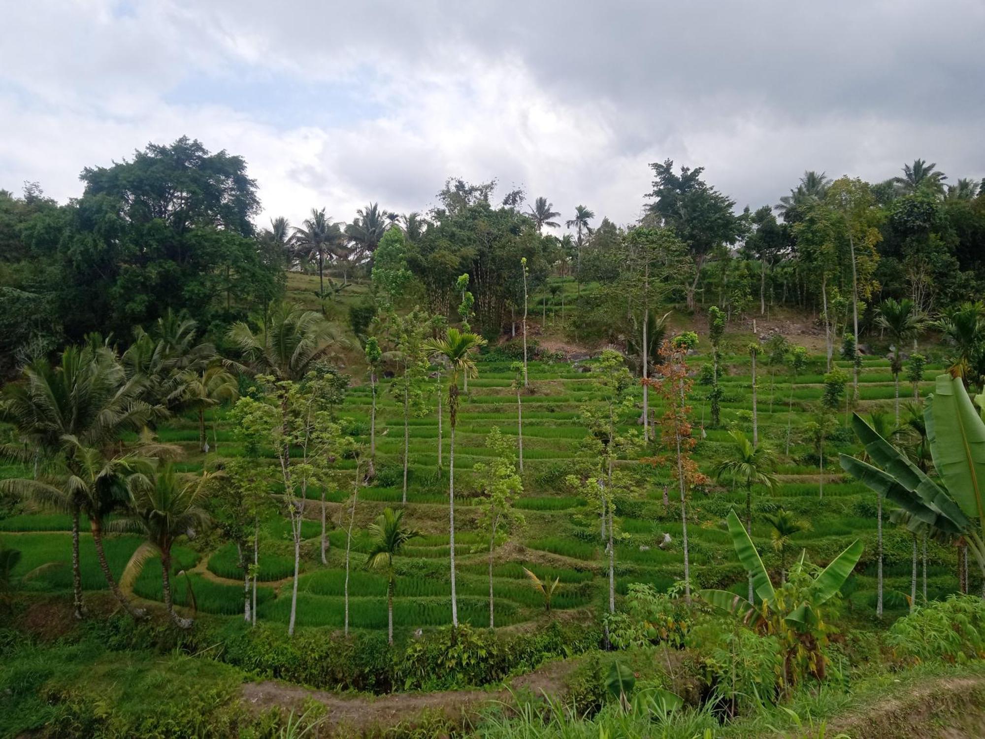 Tetebatu Sunrise Homestay Exteriör bild