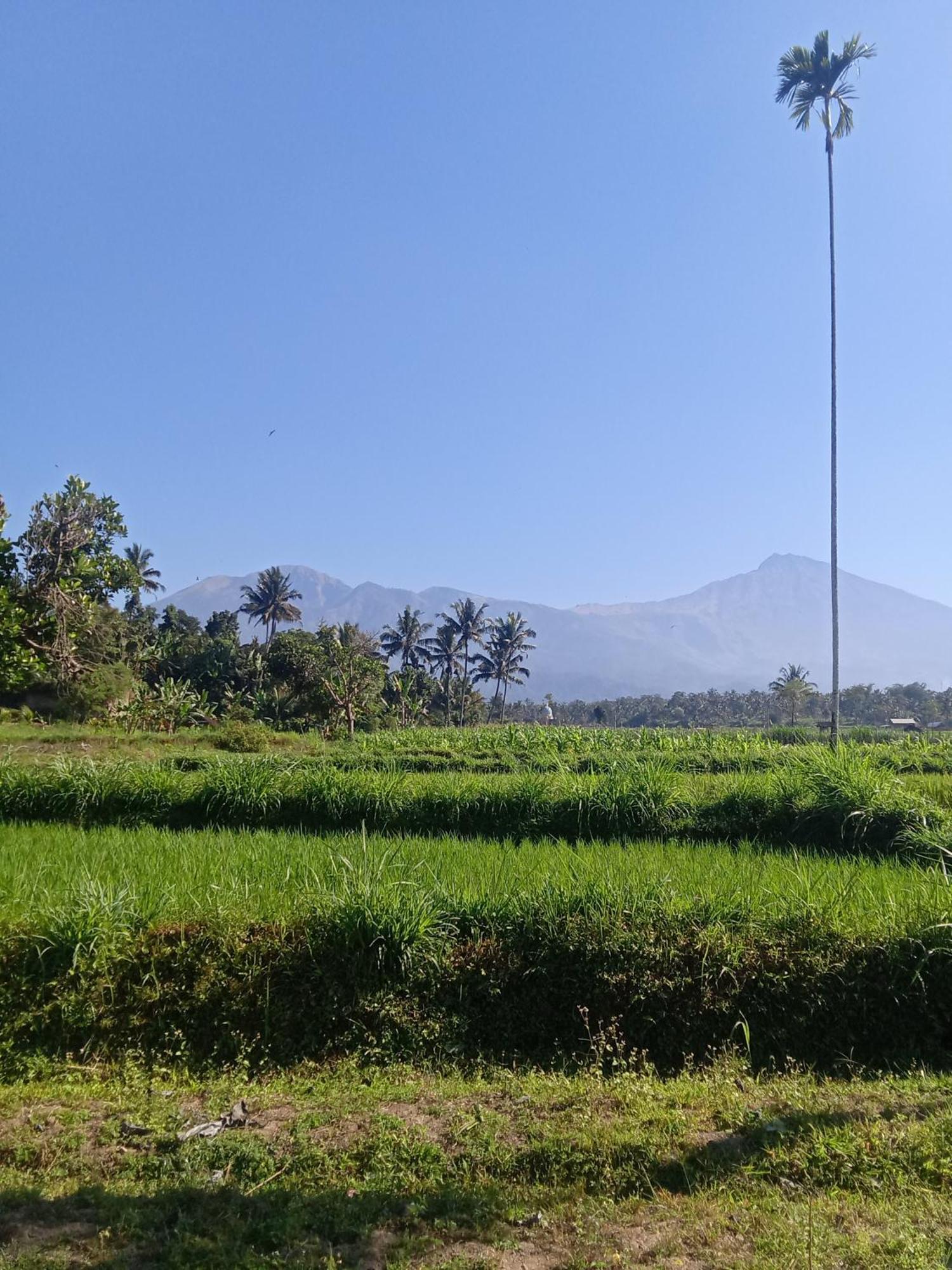 Tetebatu Sunrise Homestay Exteriör bild