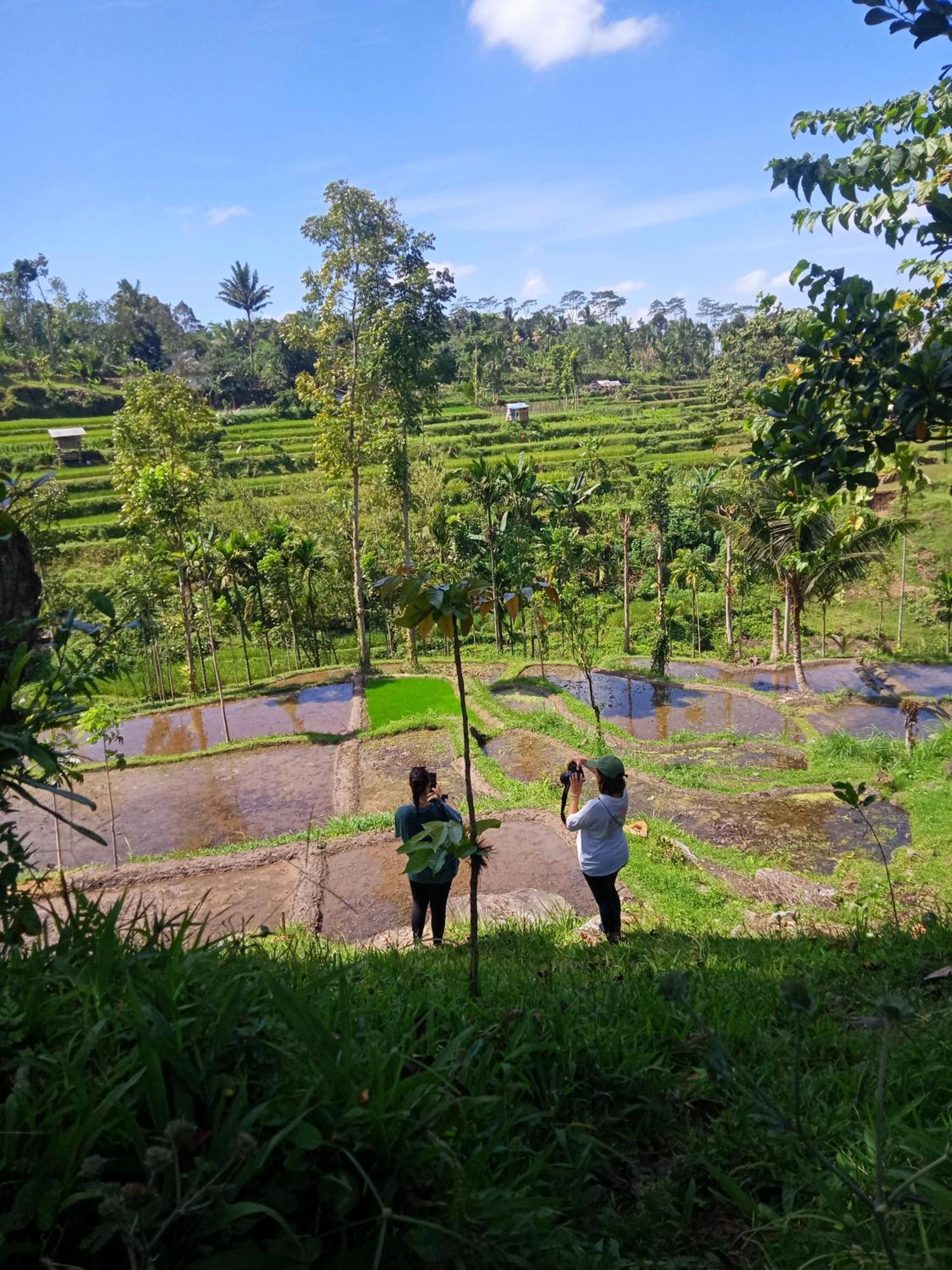 Tetebatu Sunrise Homestay Exteriör bild